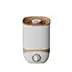 POWER Unique Design Air Humidifier  120ML Capacity Lasting Mois Humidifier Desktop Low Noise Operati
